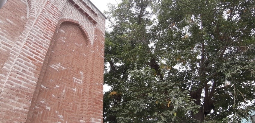 مسجد حنیفه گوراوان