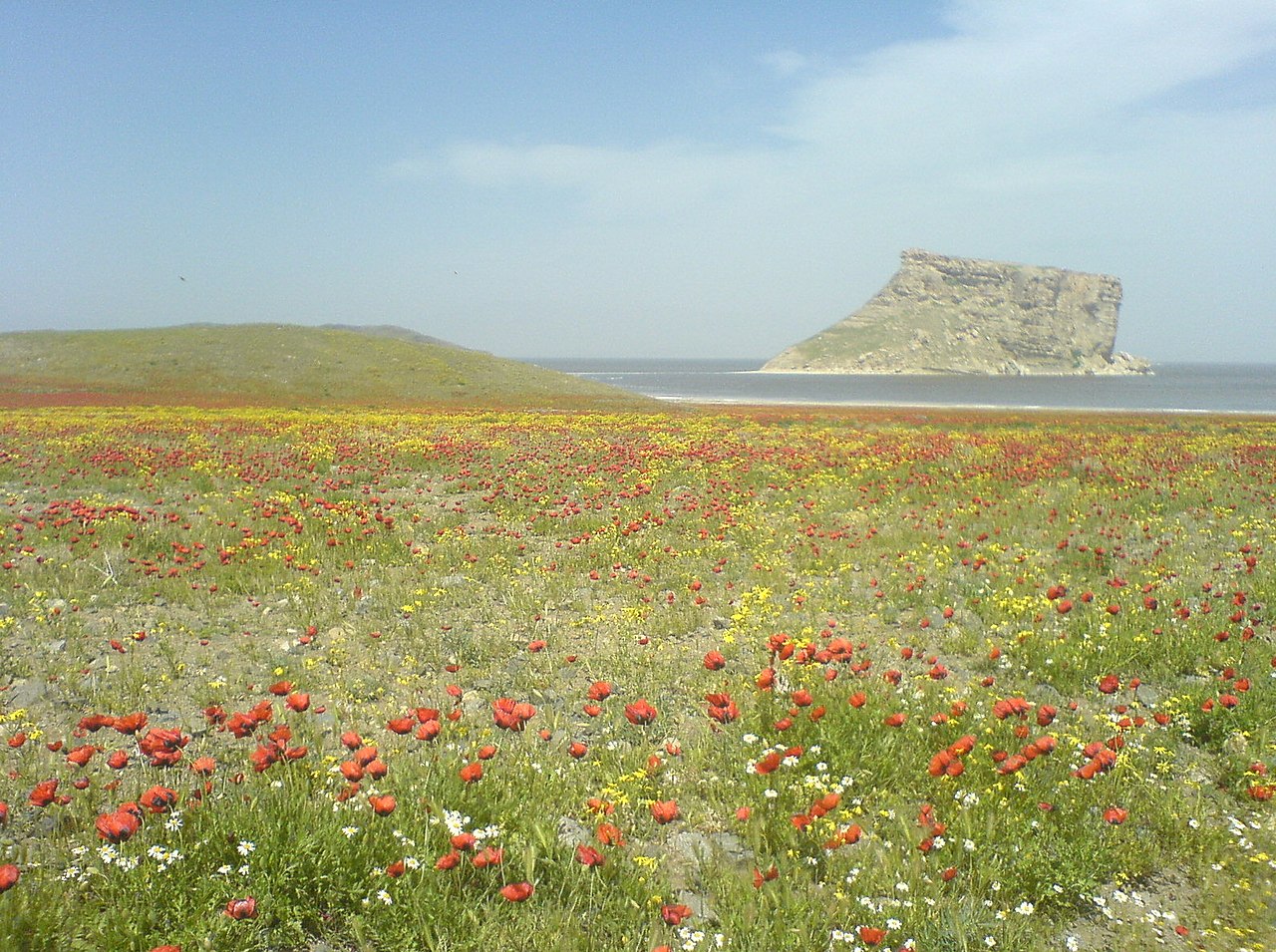 پارک ملی