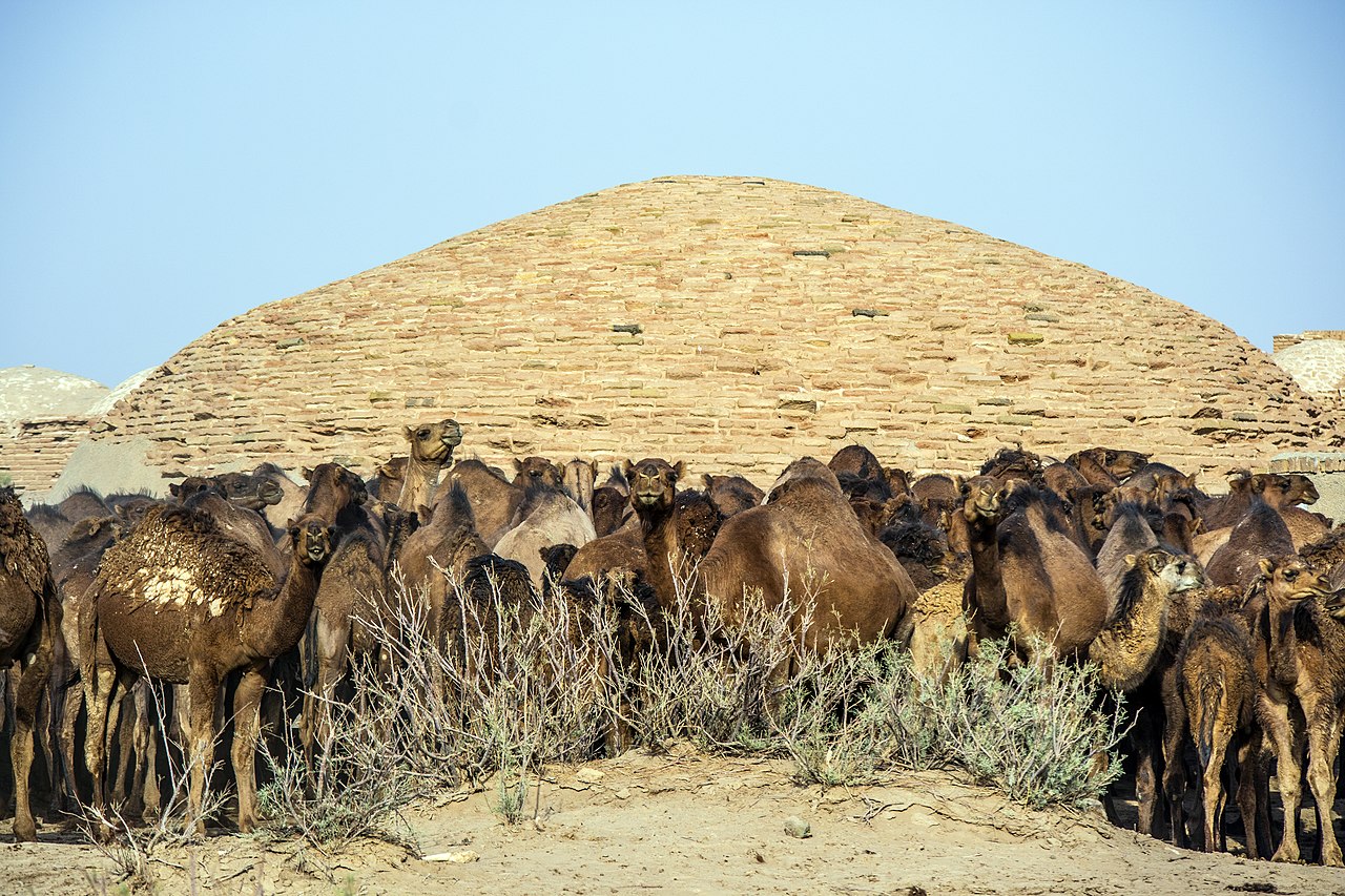 پارک ملی