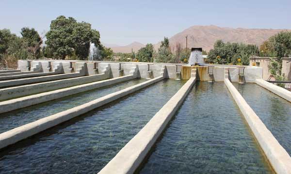 قمچقای