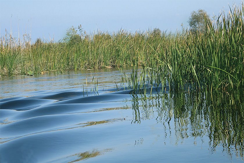 امیر کلایه 