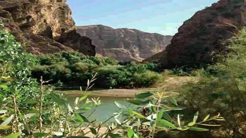 تنگ سازبن