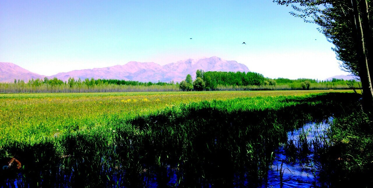 روستای توریستی ده چشمه فارسان
