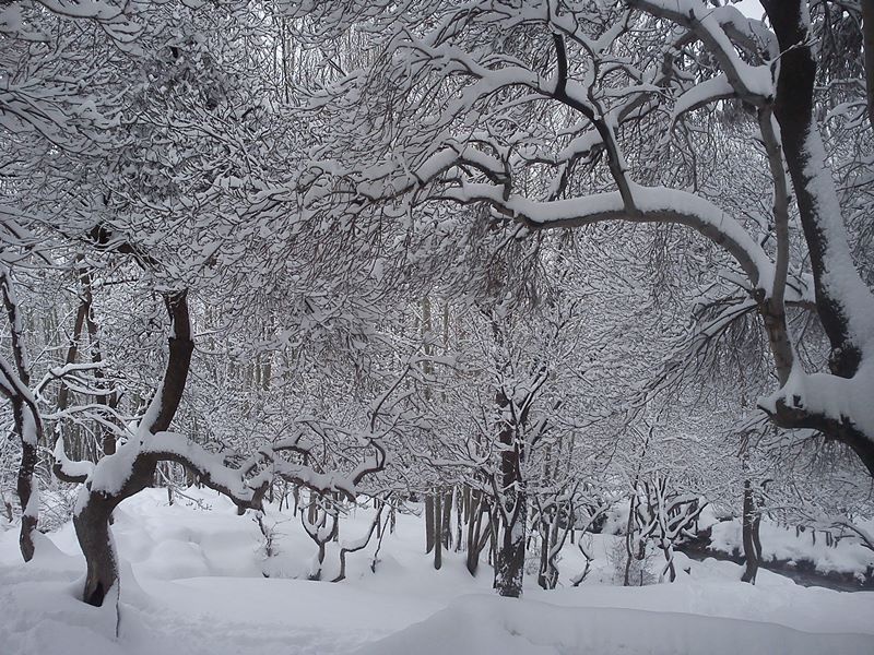 روستای توریستی ده چشمه فارسان