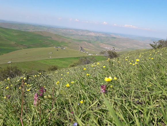 روستای گلی بلاغ بیله سوار