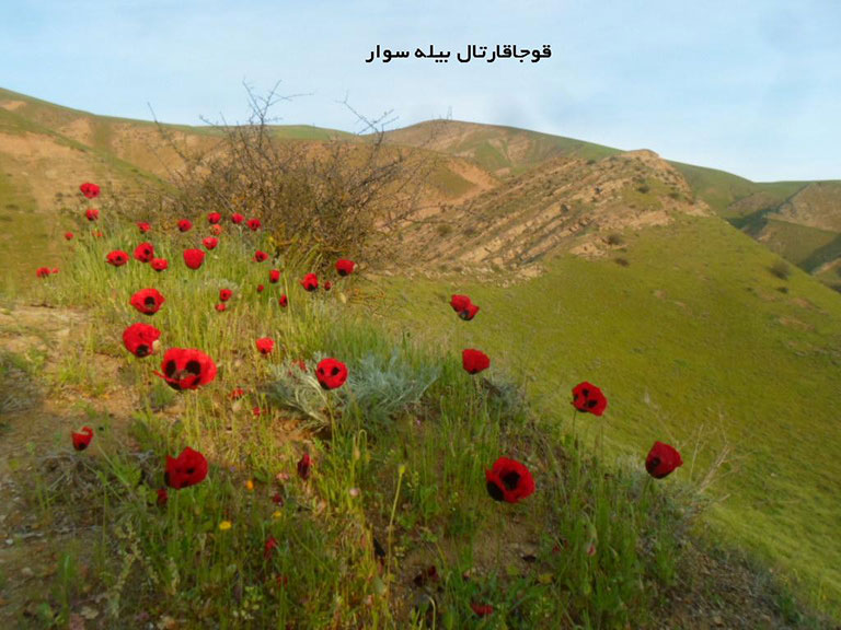 روستای گلی بلاغ بیله سوار