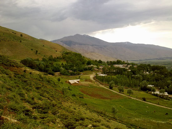 مرگور 