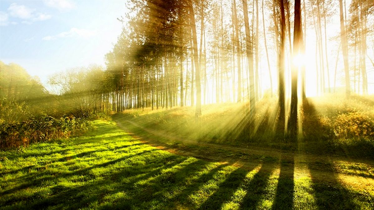 نور پخش شده در طبیعت