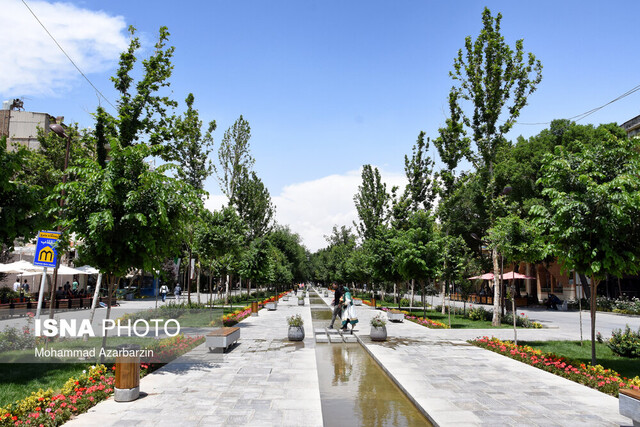 درختان چهارباغ 