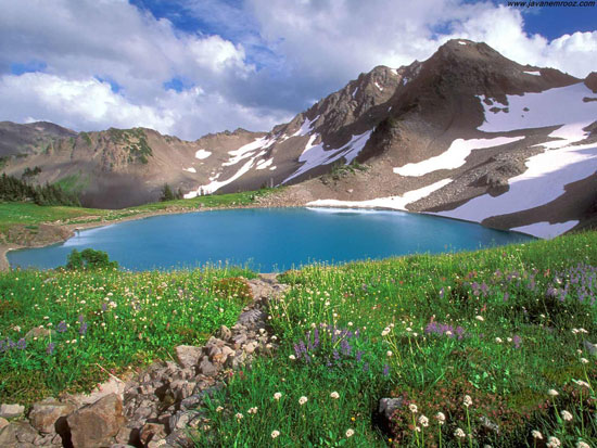 کوه گل 