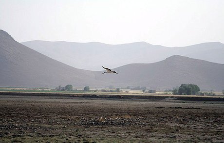 خشکسالی