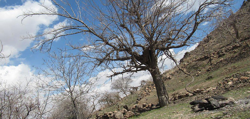 روستای سنو گناباد 