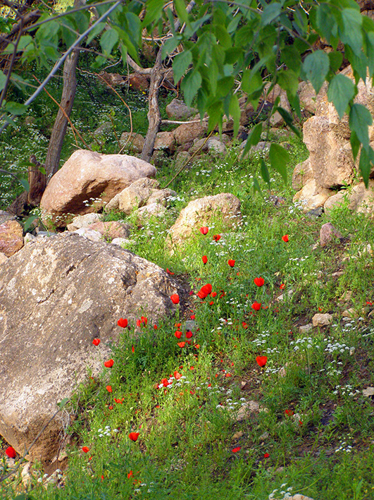 روستای سنو گناباد 