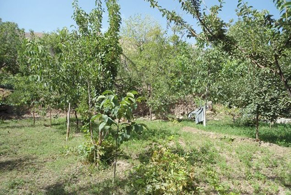 روستای سنو گناباد 