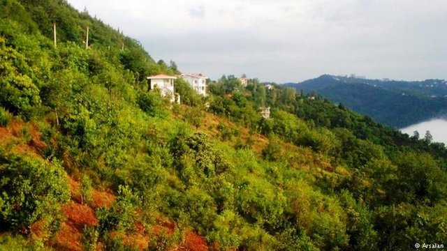 زمین خواری