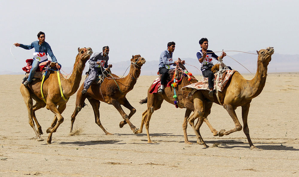 شترسواری کویر ورزنه