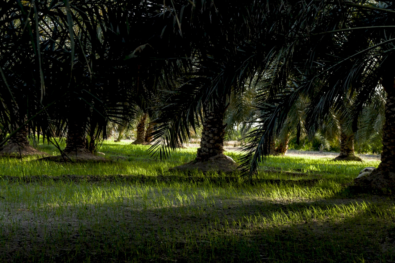 قلعه مهرستان
