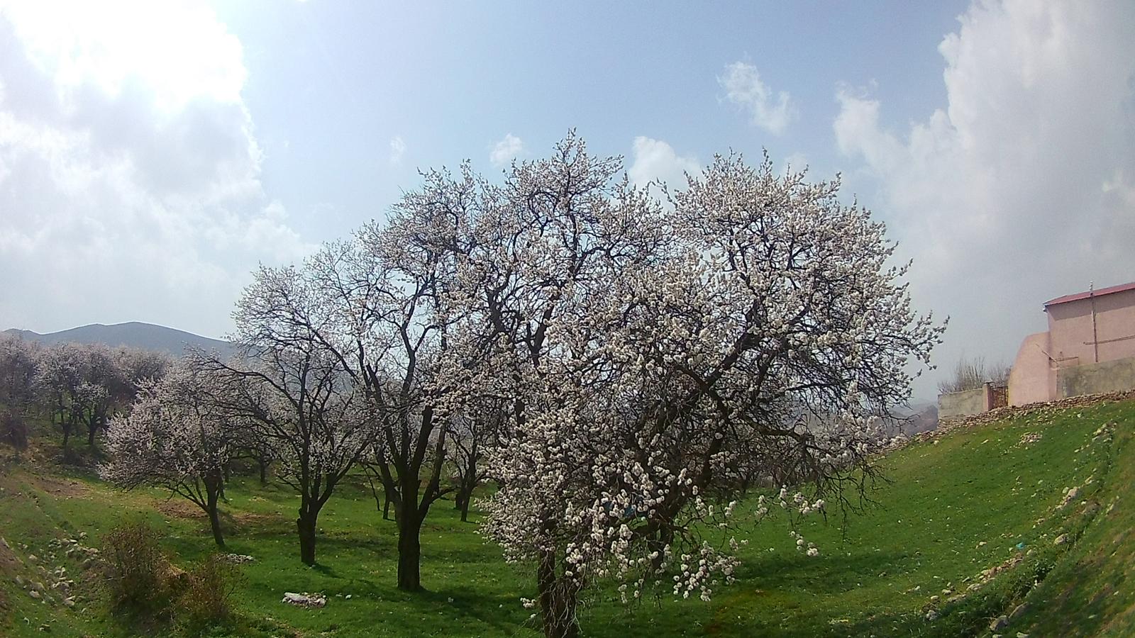 منطقه گردشگری ماهار زنوز