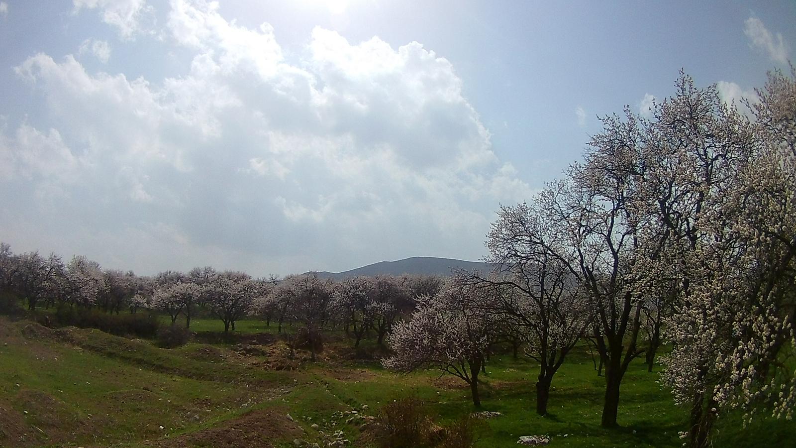 منطقه گردشگری ماهار زنوز