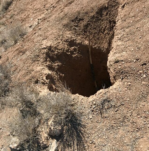 پوده
