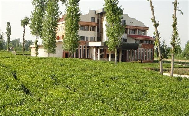 زمین خواری
