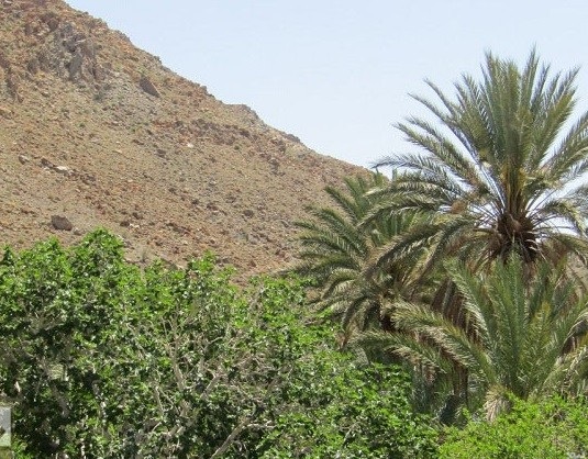 گیشتک مهرستان