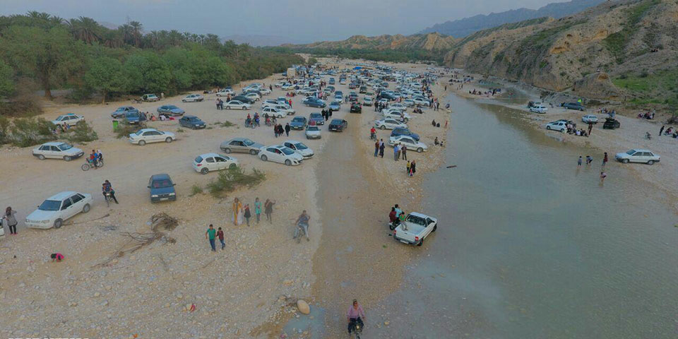 جنگل گلوبردکان جم  