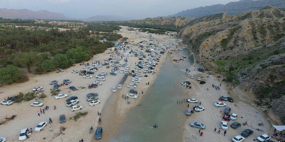 جنگل گلوبردکان جم  