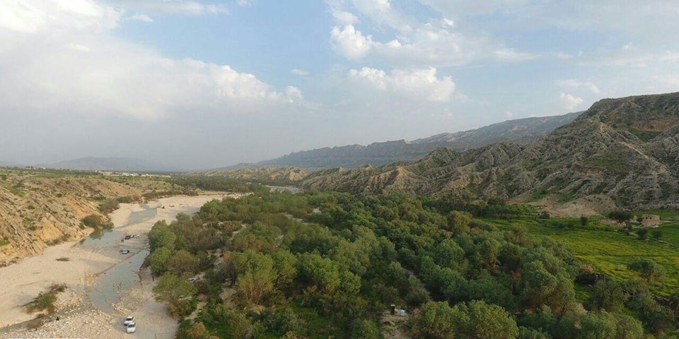 جنگل گلوبردکان جم  