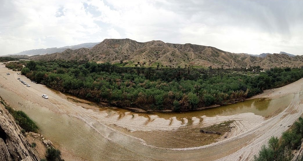 جنگل گلوبردکان جم  