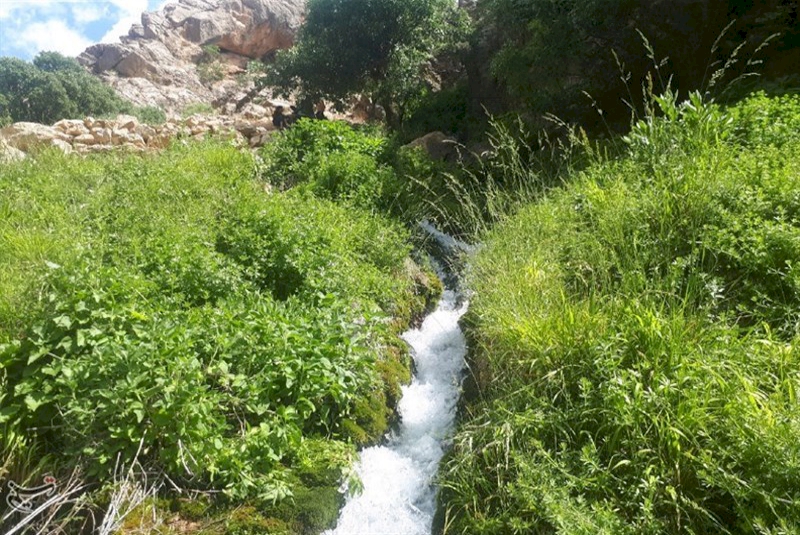 مارگون