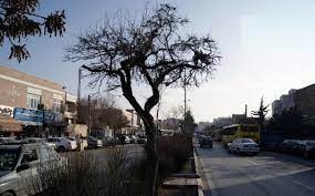 محله راسته کوچه تبریز