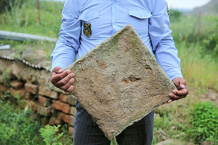 دیوار گرگان