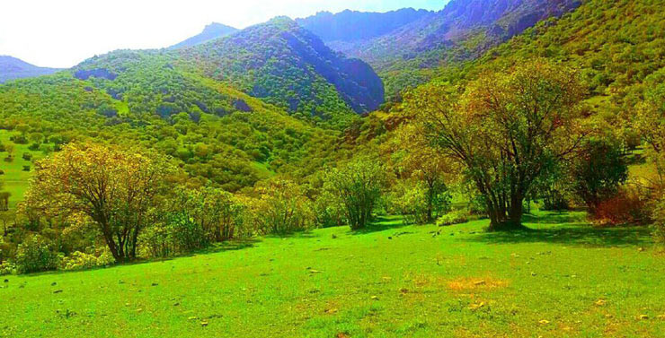 روستای سرمرغ سفلی