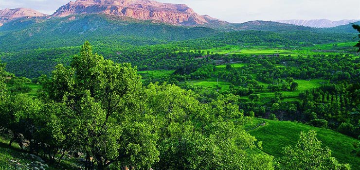 روستای سرمرغ سفلی