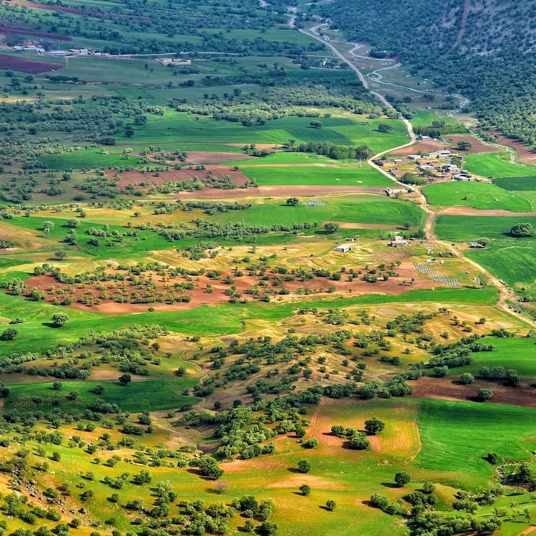 روستای سرمرغ سفلی