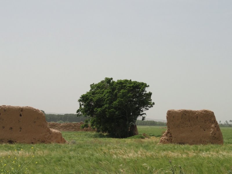 روستای شکر آباد تهران