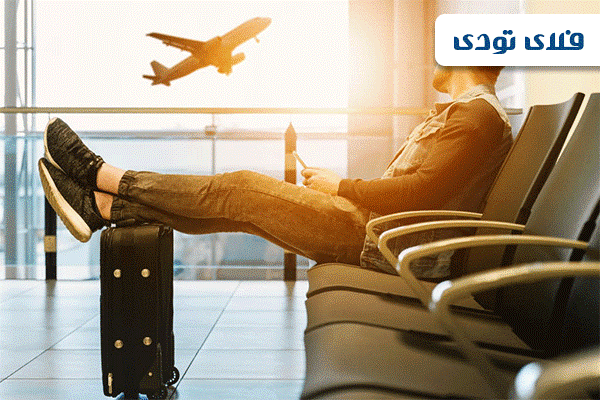 فلای تودی