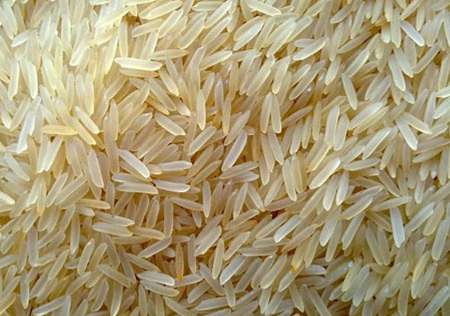 انواع برنج