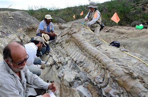 مراغه