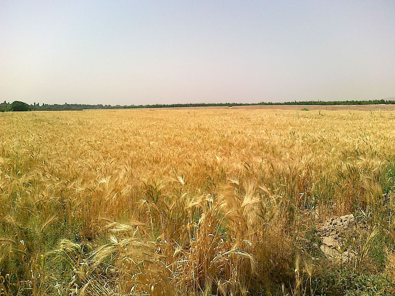 روستاهای شهریار