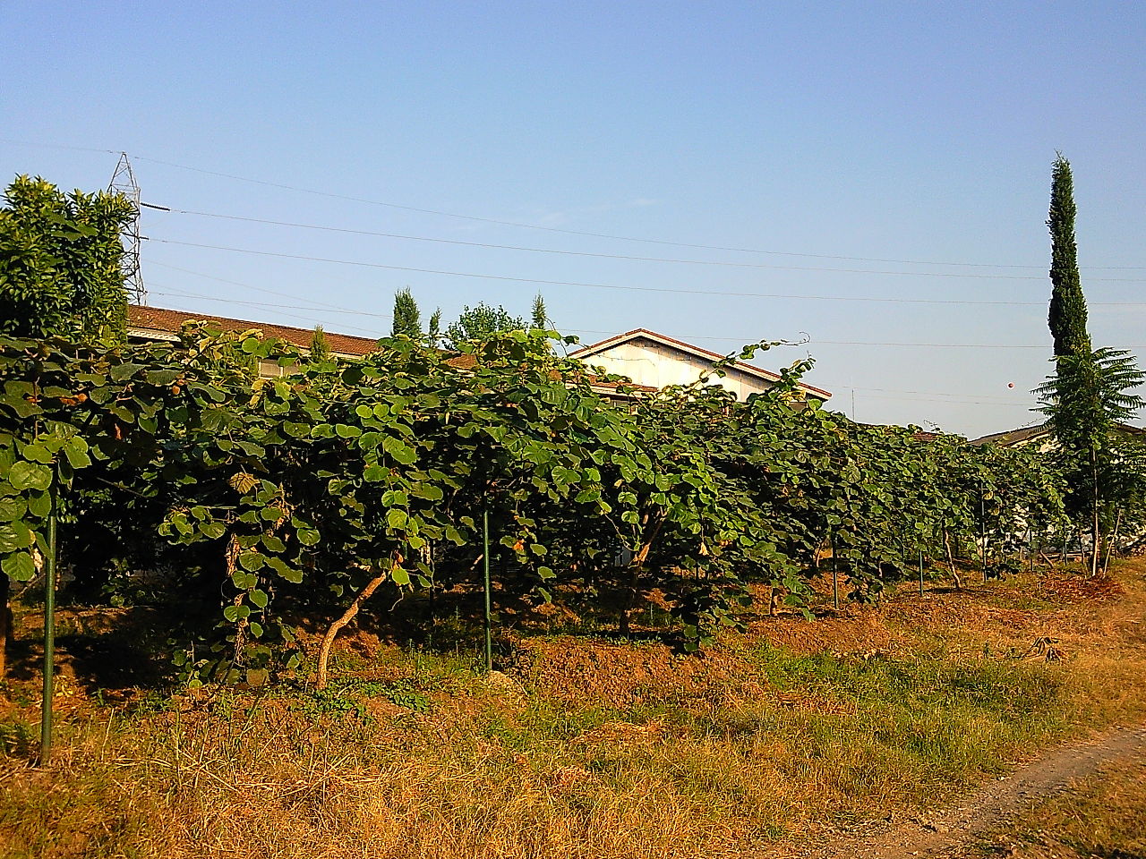 روستاهای آستارا