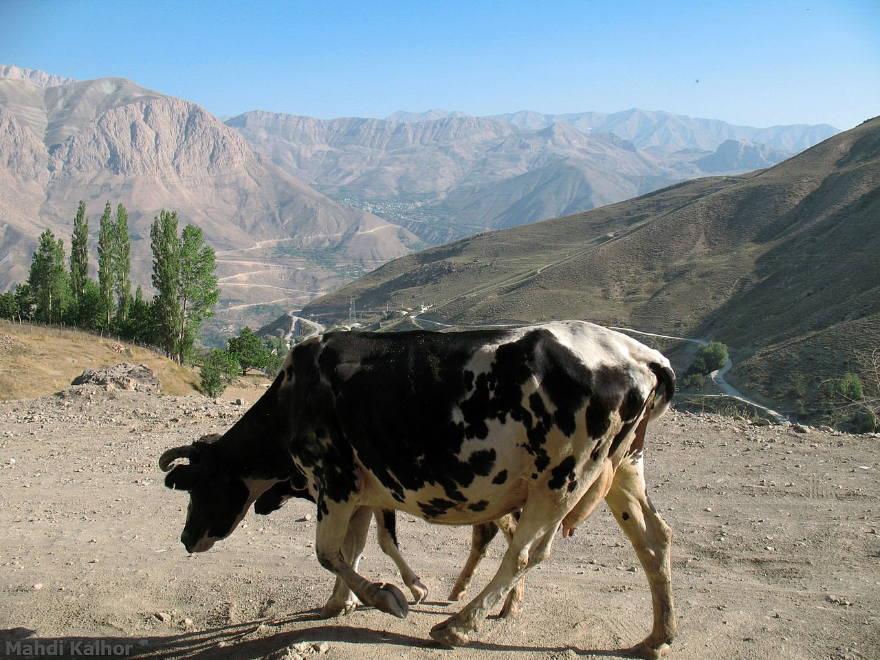 روستاهای آمل