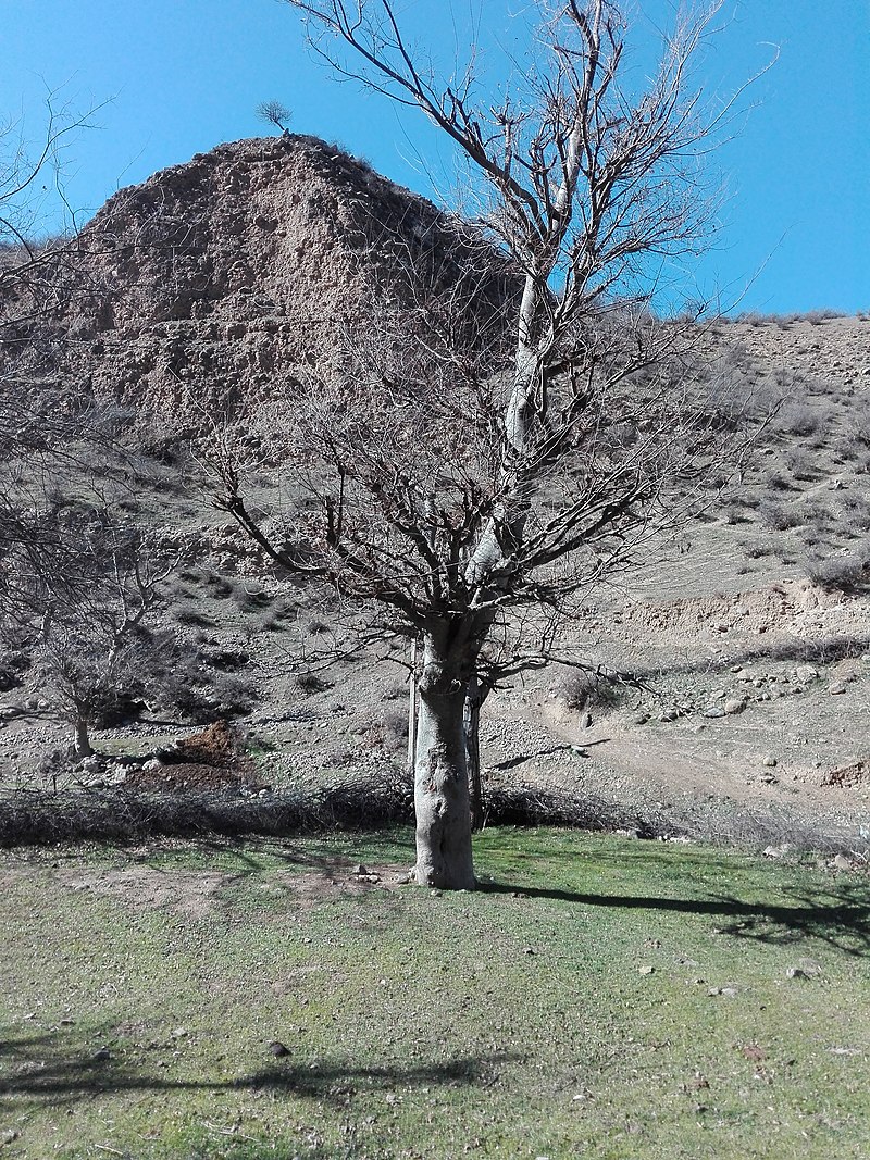 روستاهای چالوس