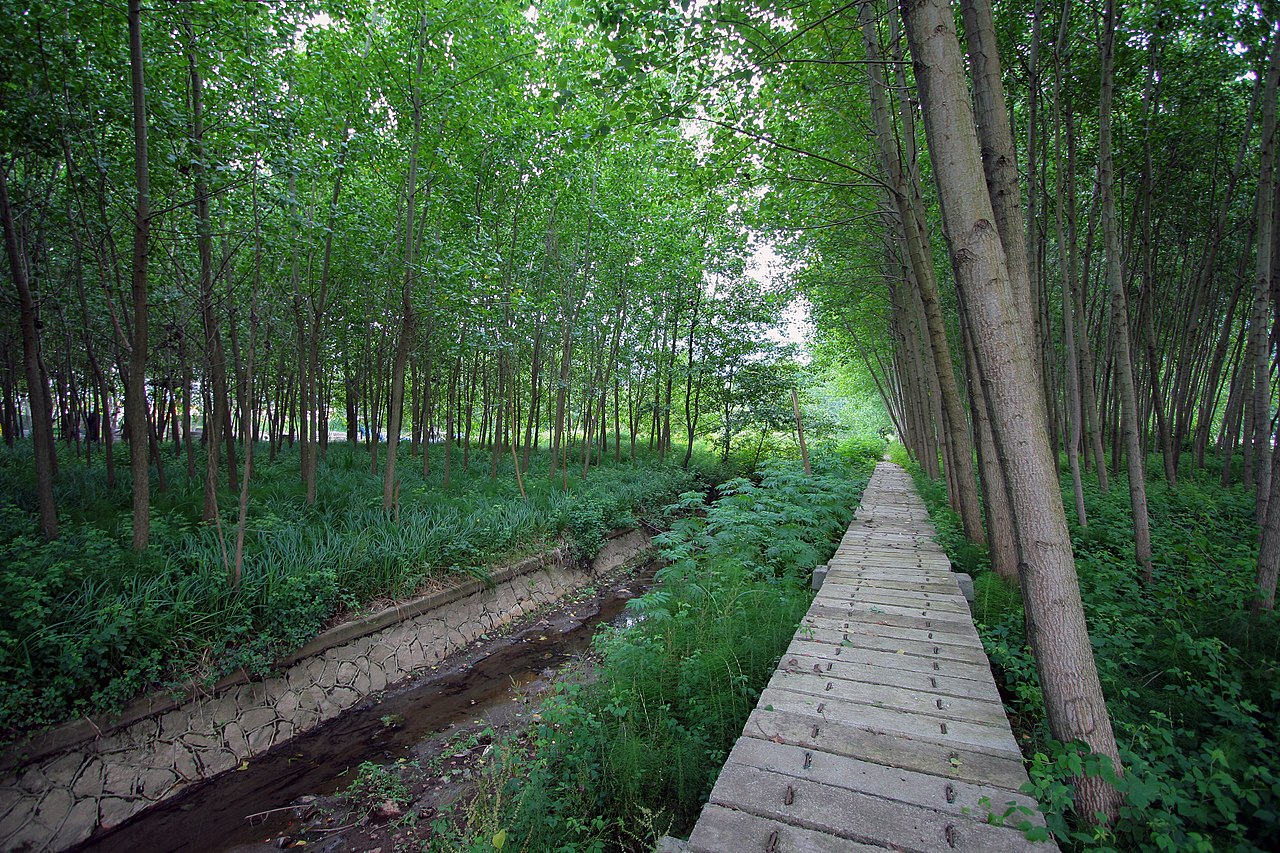 روستاهای چالوس