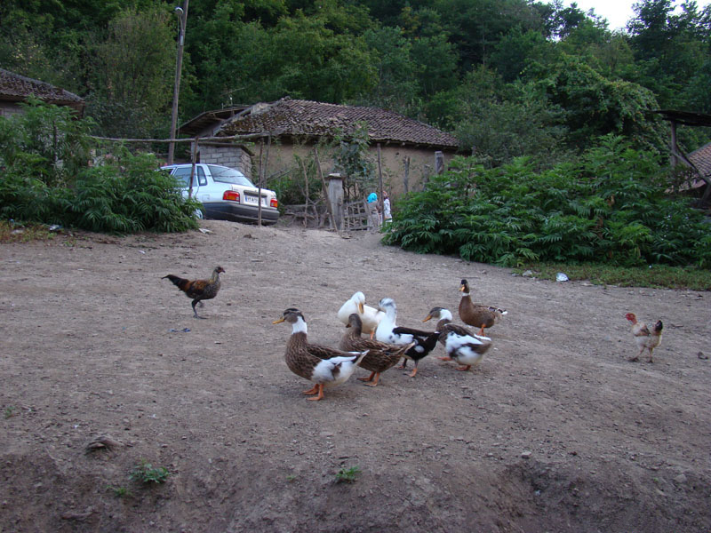 روستاهای آستارا