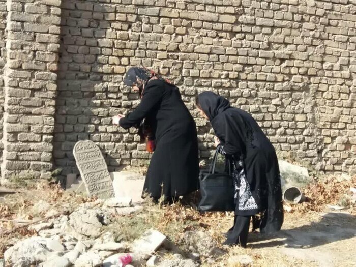یوسف رضا