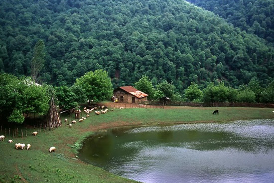 روستاهای رضوانشهر