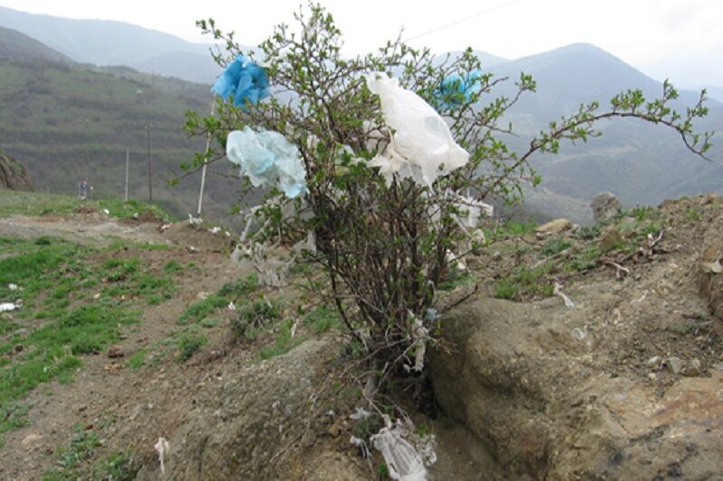 زمین پاک