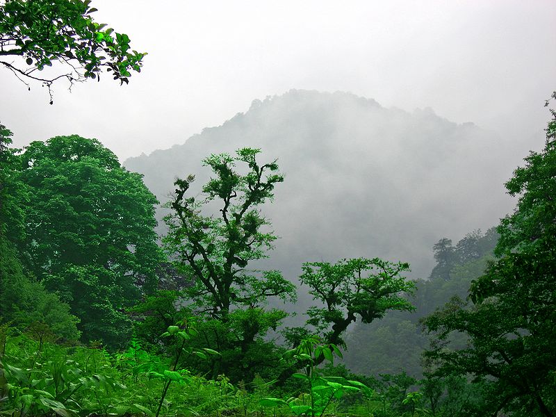 روستاهای بندرانزلی